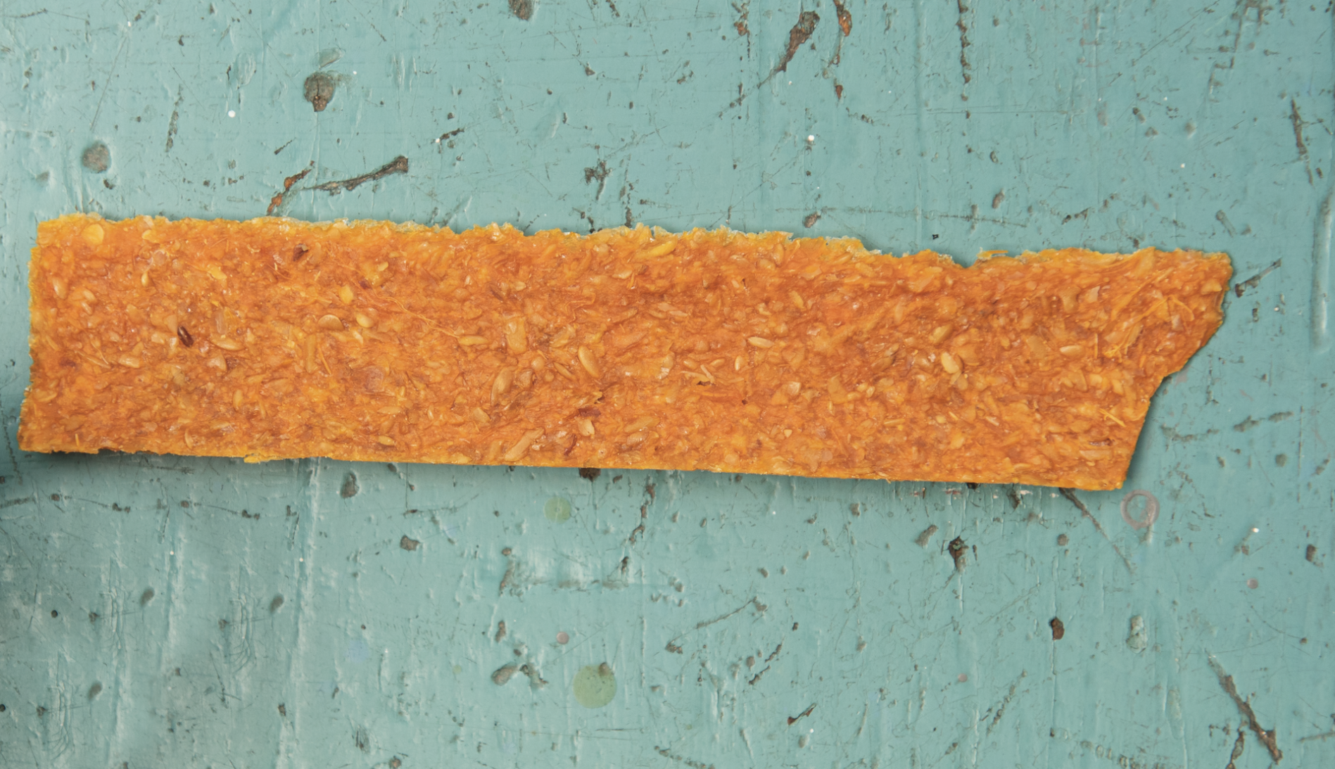 The Pet Issue 2020: Snack Attack